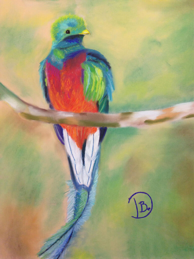 Quetzal Bird | Traditional Bird Soft Pastel | Nov. 2014