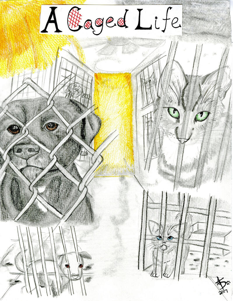 "A Caged Life - Problem" | Traditional Drawing | Sept. 2017