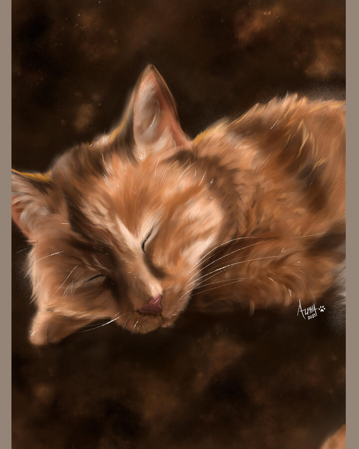 "Lighting Animal Portrait" | Photoshop | Jan. 2023