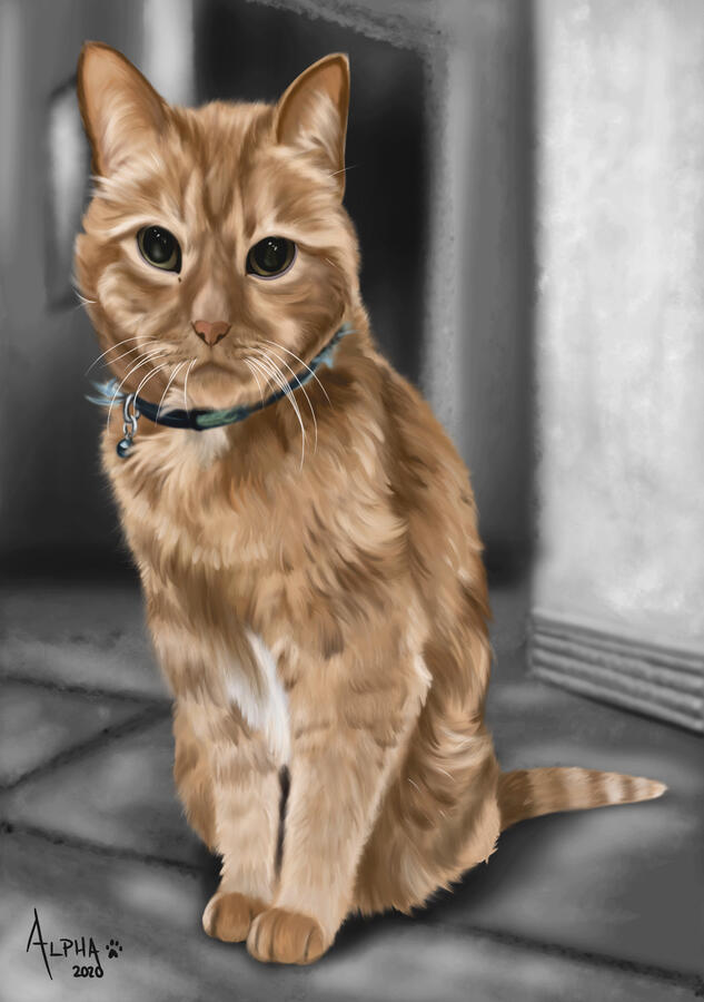 "Animal Portrait: Angel" | Photoshop | Sam Woodfin | Nov. 2020