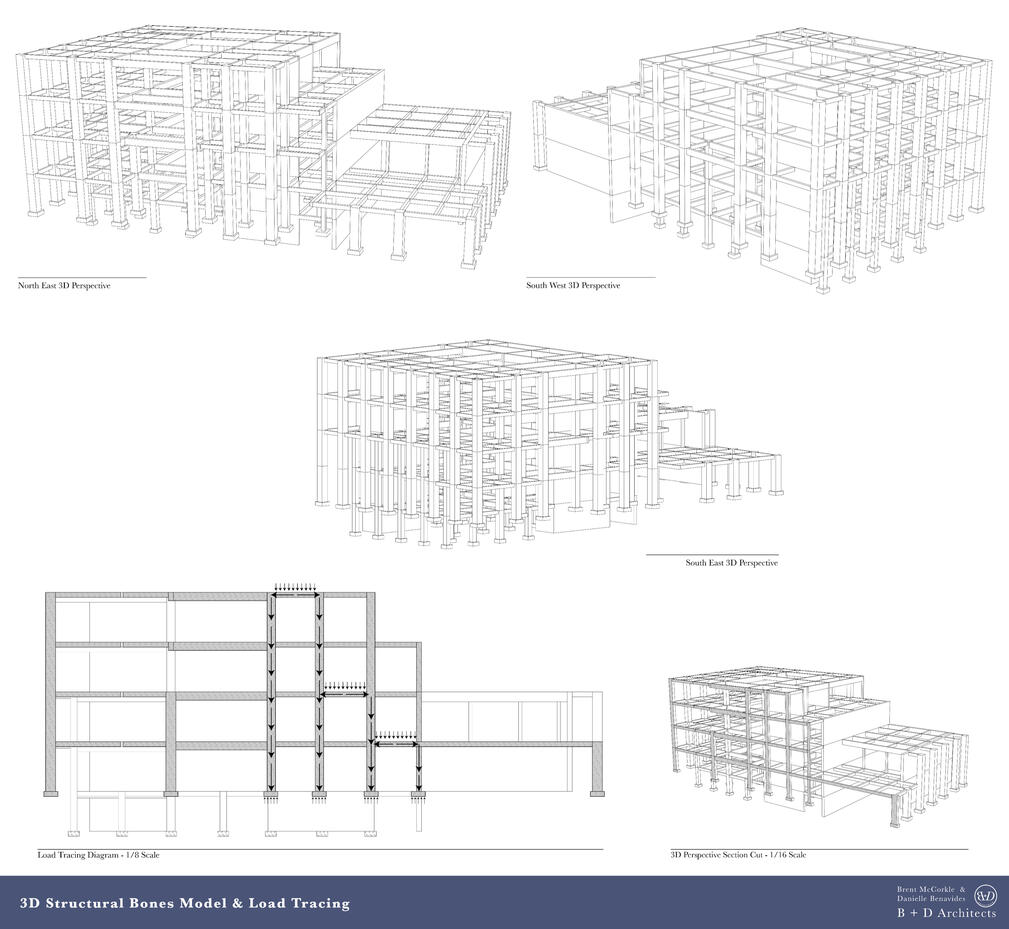 14. 3D Structural Bones Model &amp; Load Tracing